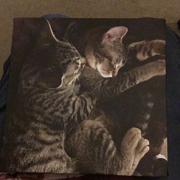 Meet your Posher, Patty - Picture 7 of 12